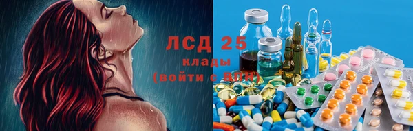 ПСИЛОЦИБИНОВЫЕ ГРИБЫ Хадыженск