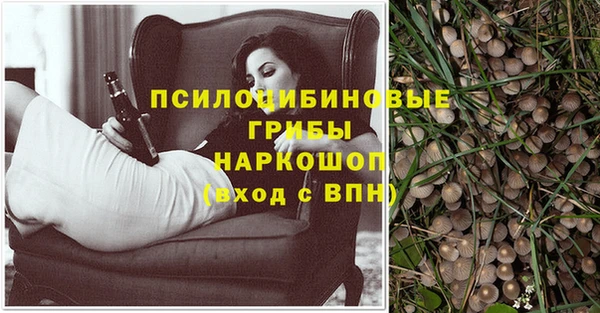 амф Абаза