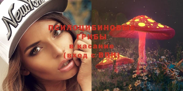 амф Абаза