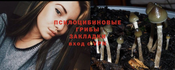 твердый Новокубанск