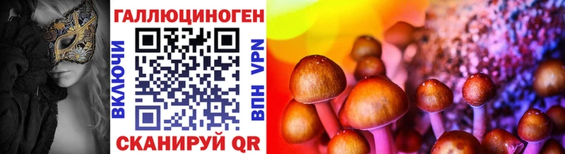 Псилоцибиновые грибы Cubensis  дарнет шоп  Нестеровская 